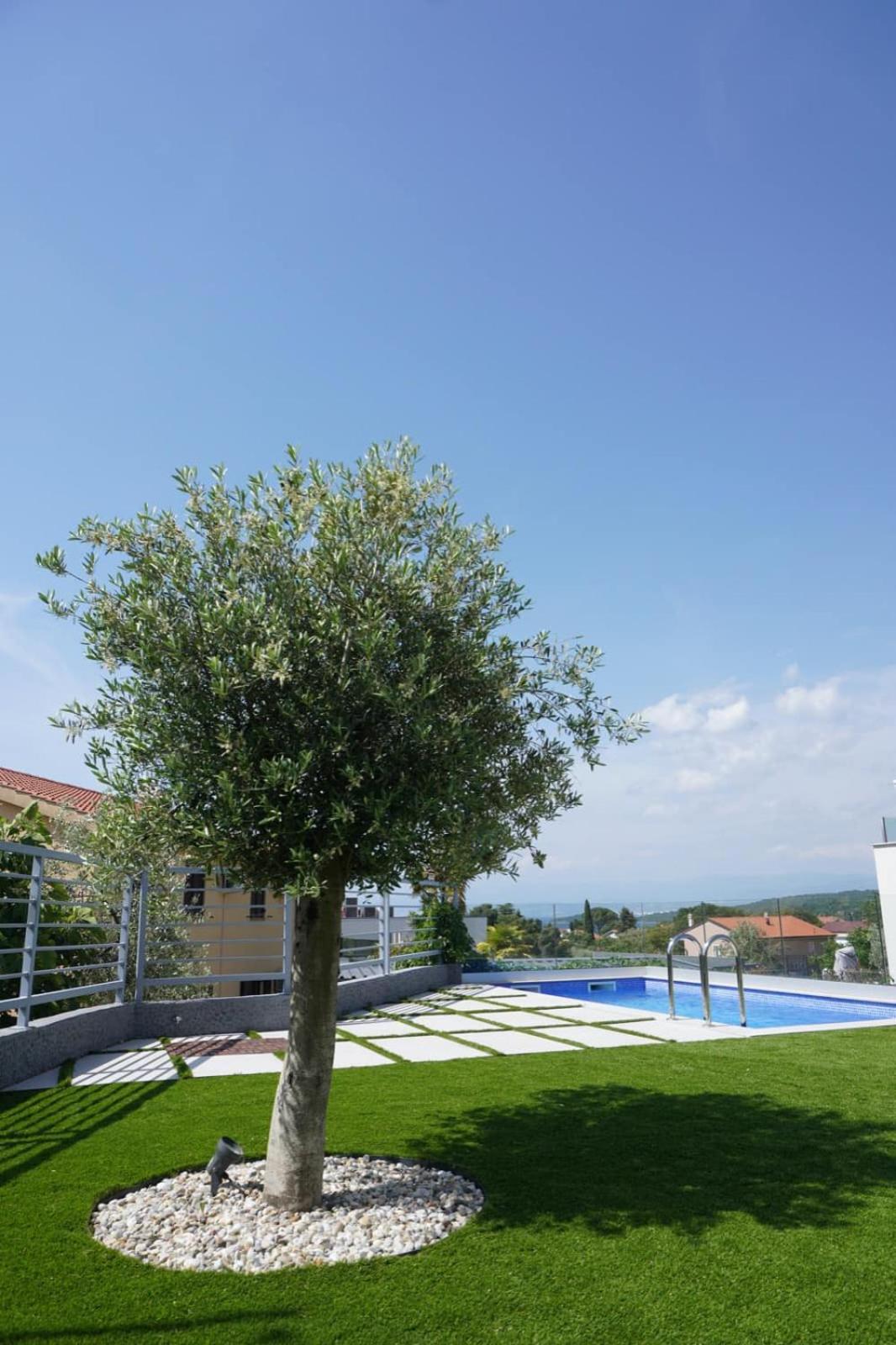 Villa Mirno More Apartments มาลินสกา ภายนอก รูปภาพ
